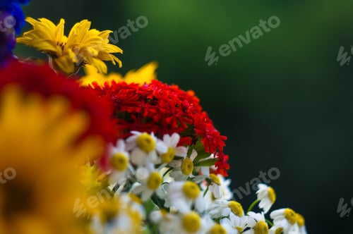 Preview: A Bouquet Of Bright Spring Flowers Of Various Types