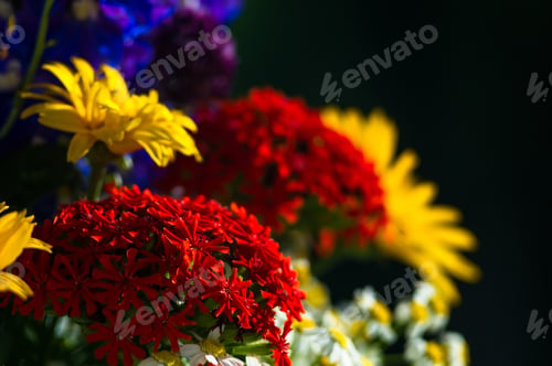 Preview: A Bouquet Of Bright Spring Flowers Of Various Types
