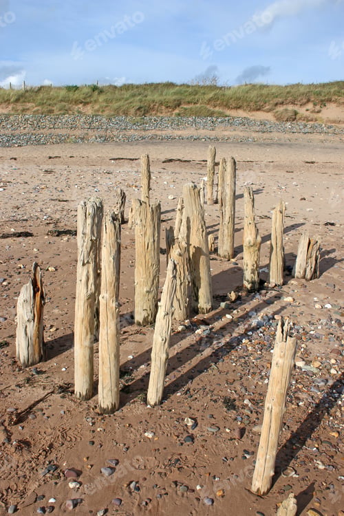 Preview: Groynes On Dawlish Warren Beach