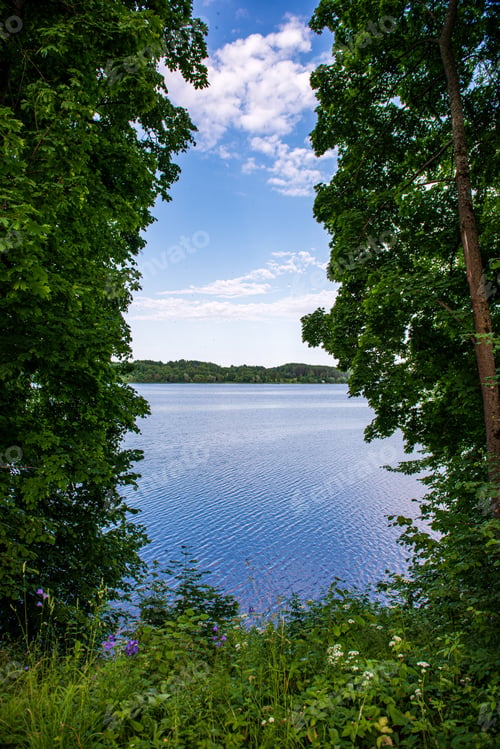 Preview: Deep Dark Forest Lake With Reflections Of Trees And Green Foliage With Shadows Textured Background