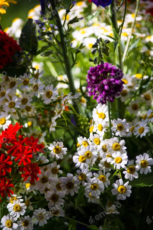 Preview: A Bouquet Of Bright Spring Flowers Of Various Types
