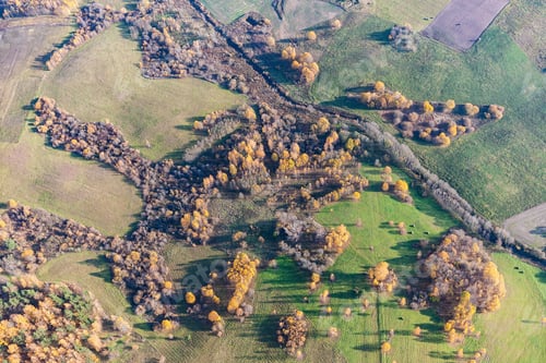 Preview: Aerial View Over The Fields And Forest In Autumn