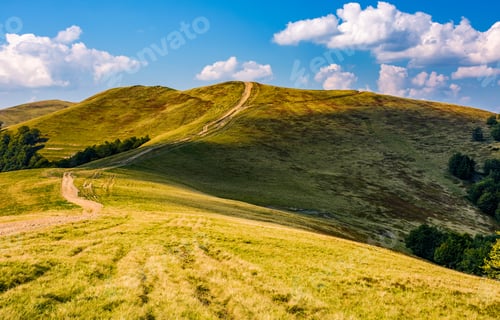 Preview: Footpath Through Hills With Forest. Beautiful Nature Scenery In Fine Early Autumn Weather