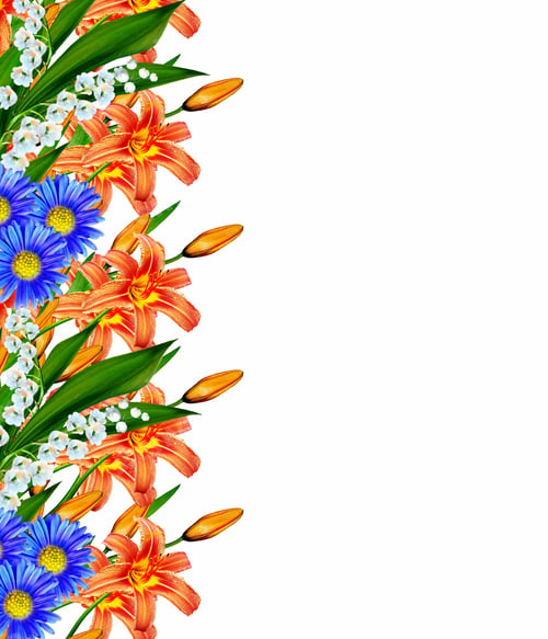 Preview: Lily Flowers Isolated On White Background