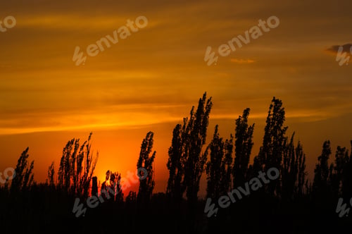 Preview: Landscape With Dramatic Light - Orange Clouds And The Outline Of Trees At Sunset