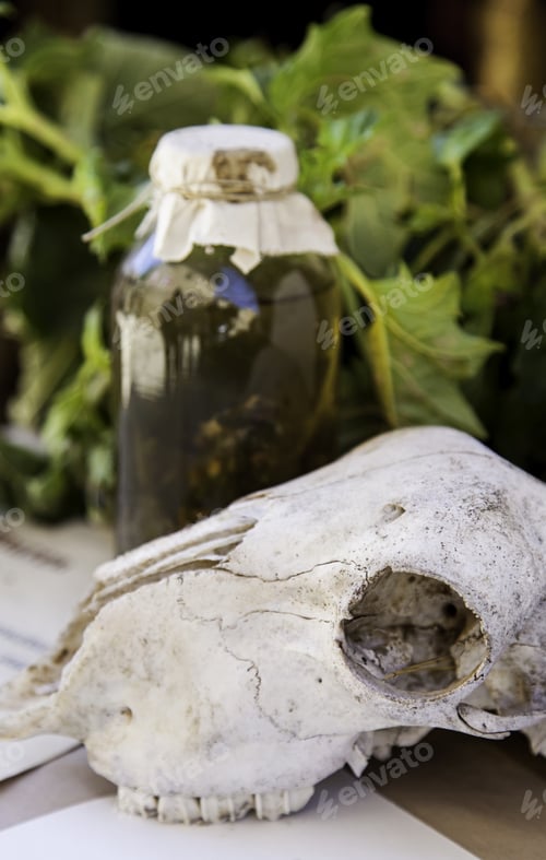 Preview: Goat Skulls For Terrifying Decoration, Halloween Detail, Witchcraft