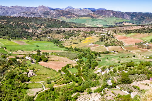 Preview: View Of A Fresh And Panoramic Landscape With Orchards, Vineyards And Fields Near Ronda City In