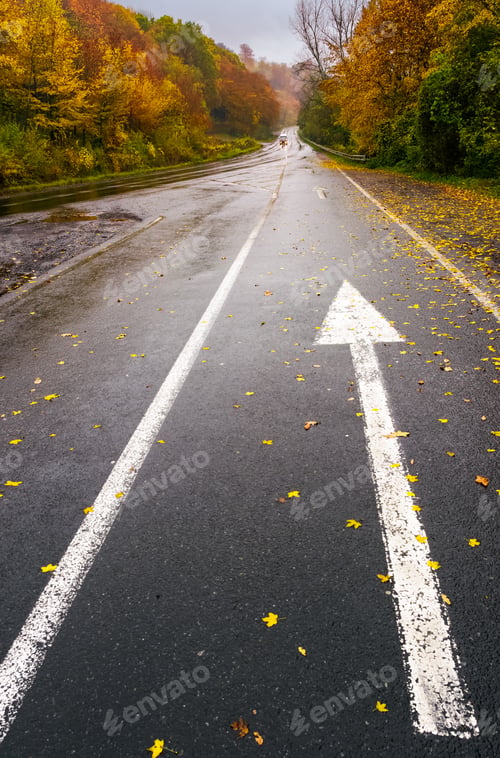 Preview: Wet Asphalt Road Through Forest In Deep Autumn. Gloomy Rainy Day Background. Painted Arrow Sign In