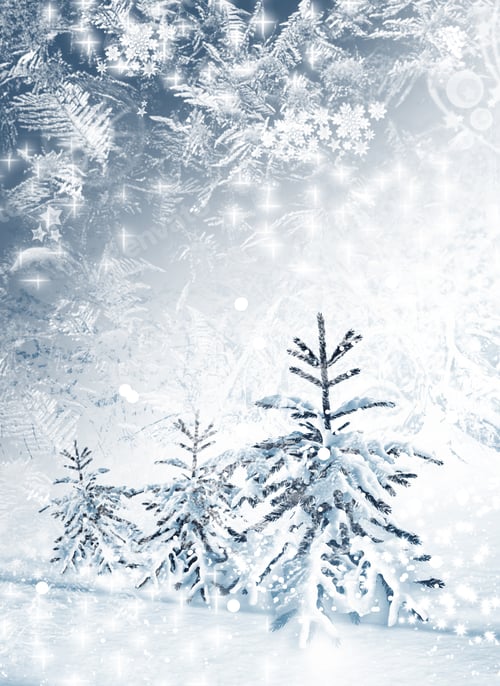 Preview: Winter Forest