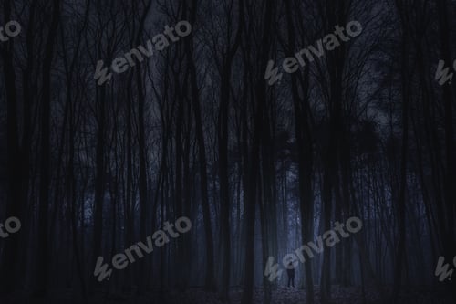 Preview: Surreal Horror Scene With Alone Strange Man In Dark Night Forest. Dreamy Landscape.