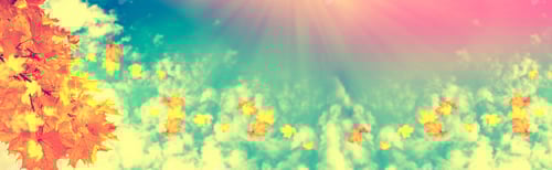 Preview: Autumn Landscape With Bright Colorful Leaves. Indian Summer.