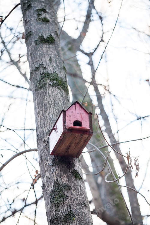 Preview: Bird House In The Park