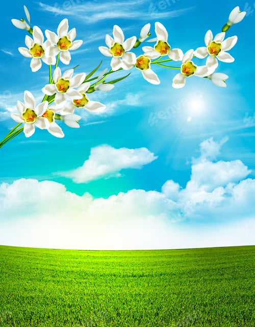 Preview: Branch Of Flowers Of Snowdrops On A Background Of Blue Sky With Clouds