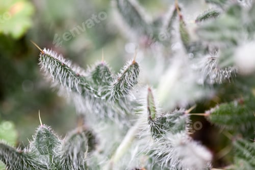Preview: Beautiful Grass Textures With Water Drops