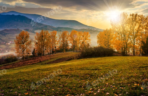 Preview: Mountain Rural Area In Autumn Season. Agricultural Field In Fog On A Hill Near The Forest With Red