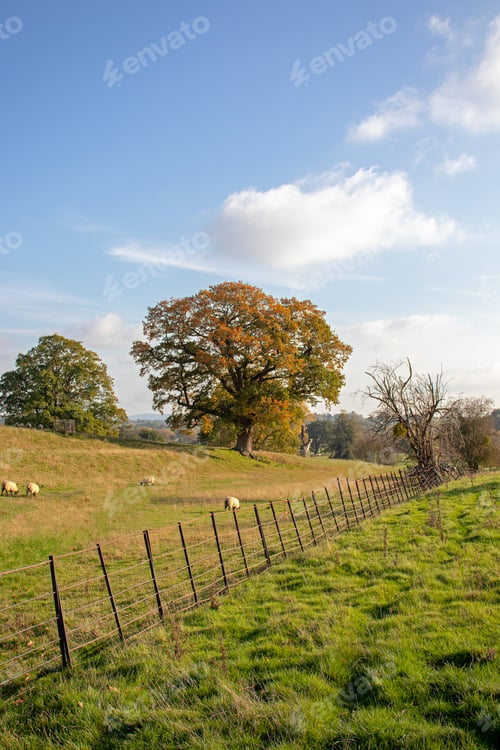 Preview: Old Iron Railings In The Countryside.