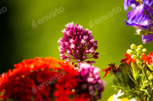 Preview: A Bouquet Of Bright Spring Flowers Of Various Types