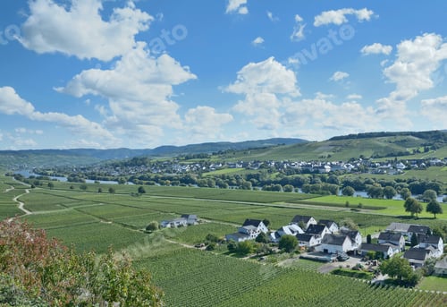 Preview: Vineyard Landscape In Mosel Valley,Rhineland-Palatinate,Germany