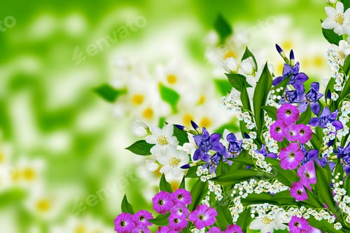 Preview: Jasmine Flowers, Iris And Lily Of The Valley