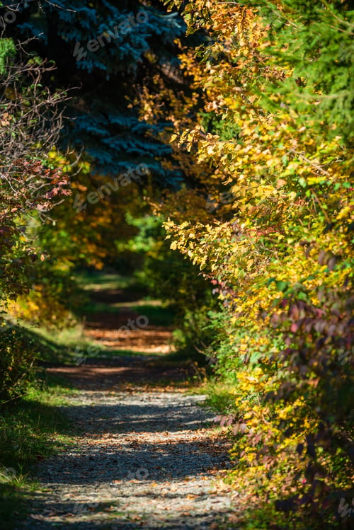 Preview: Beautiful Autumn Landscape In Vanadzor'S Botanical Garden