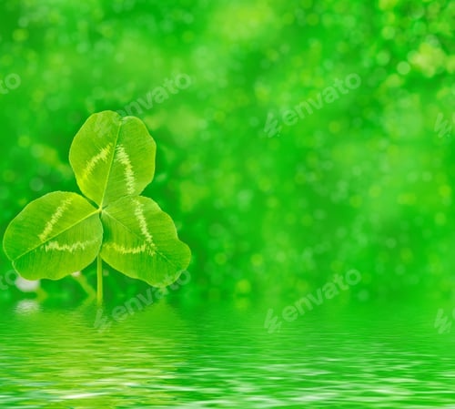 Preview: Green Clover Leaves On A Background Summer Landscape. St.Patrick 'S Day.
