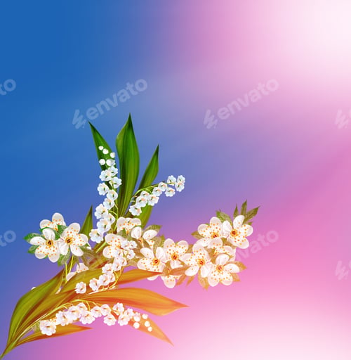 Preview: Spring Landscape. Flowering Cherry. Spring Flowering Garden.