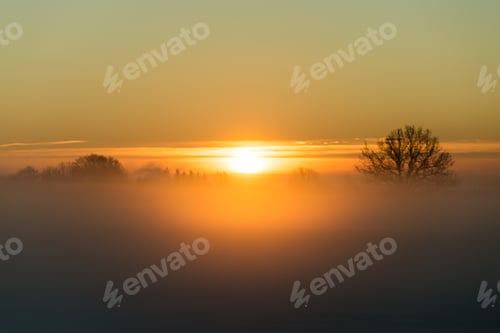 Preview: Foggy Country Fields In Winter On Cold Morning With Snow