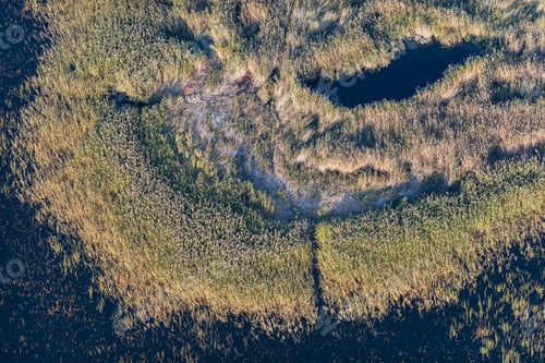 Preview: Aerial View Over The Coast Of Lake In Autumn