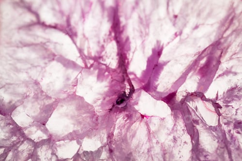 Preview: Agate And Quartz Slice - Beautiful Texture
