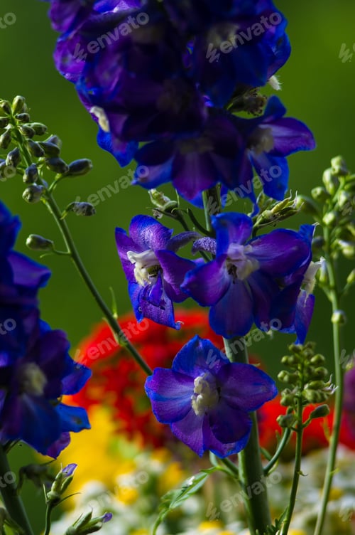 Preview: A Bouquet Of Bright Spring Flowers Of Various Types