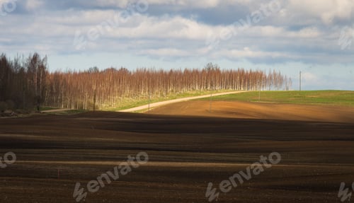Preview: Processed Cereal Fields In Spring