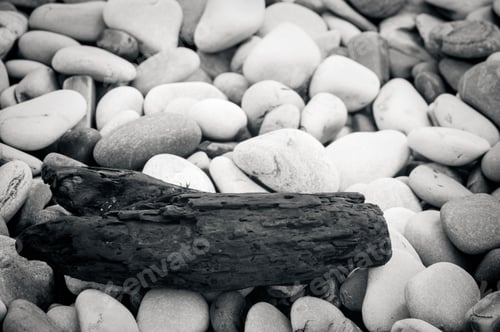 Preview: Driftwood, Washed Up By The Sea On A Pebble Beach