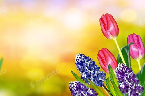 Preview: Bright And Colorful Flowers Tulips On The Background Of Spring Landscape.