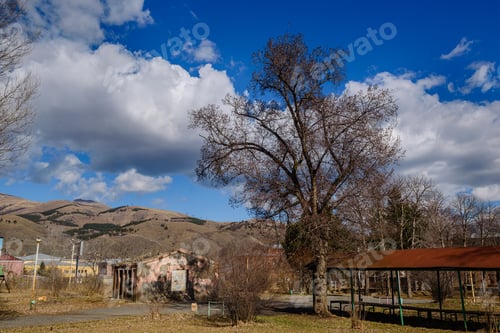 Preview: Beautiful Trees Against Blue Cloudy Sky, Armenia