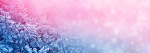 Preview: Blur. Frozen Winter Forest With Snow Covered Trees.