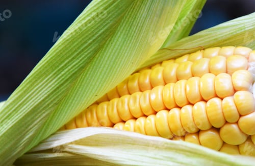 Preview: Corn