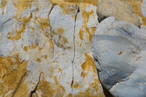 Preview: Driftwood, Washed Up By The Sea On A Pebble Beach