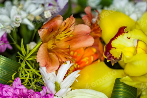 Preview: Beautiful Gift Bouquet Of Various Colorful Decorative Summer Flowers