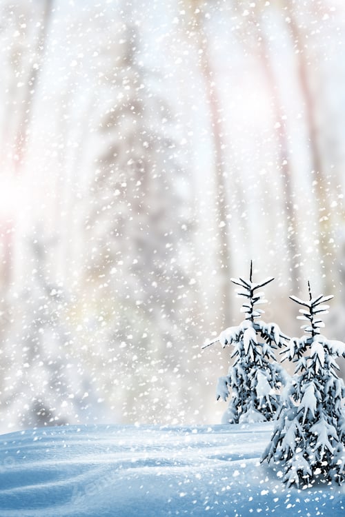 Preview: Winter Forest