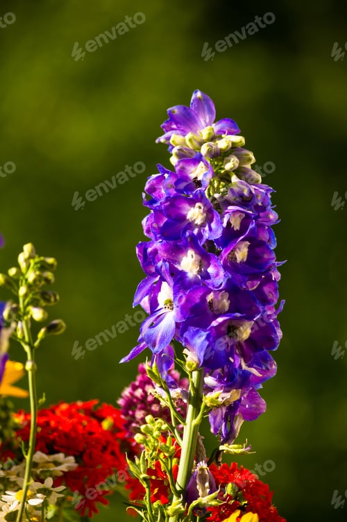 Preview: A Bouquet Of Bright Spring Flowers Of Various Types