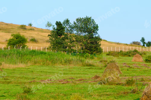 Preview: Beautiful Summer Landscape