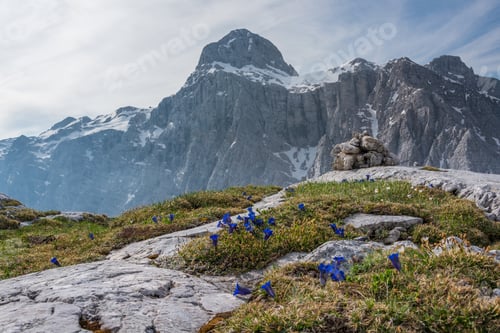 Preview: Epic Mountain Landscape