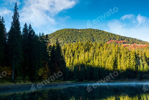 Preview: Beautiful Autumnal Landscape With Misty Morning On The Forest Lake In Mountains