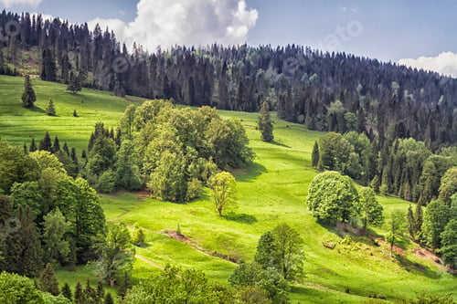 Preview: Mountains Scenery. Panorama Of Grassland And Forest In Beskid Sadecki Mountains. Carpathian