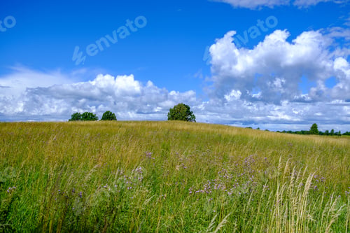 Preview: Green Meadow With Storm Clouds Moving On Dark Sky Before The Rain