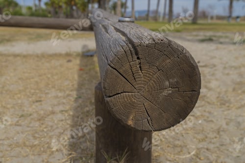 Preview: Cut Tree Trunk.