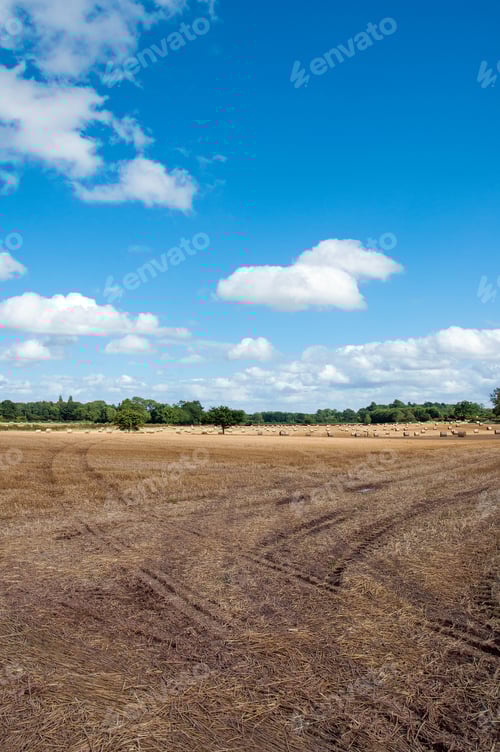 Preview: Hay Bales Dot the Sunny Rural Landscape