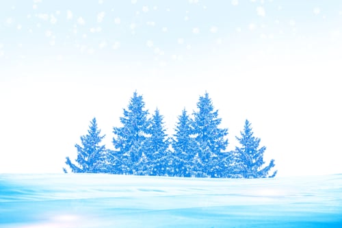 Preview: Forest In The Frost. Winter Landscape. Snow Covered Trees.