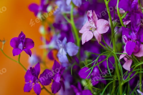 Preview: A Bouquet Of Bright Spring Flowers Of Various Types
