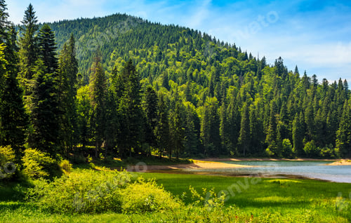 Preview: Mountain Lake Among The Green Fir Forest In Picturesque Summer Landscape. Reflection In Crystal